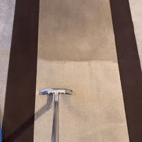 A carpet showing a clean extraction stripe during the cleaning process
