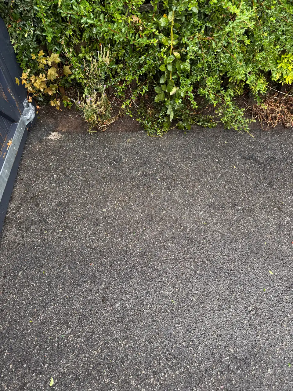 Tarmac beside a gate and hedge after cleaning
